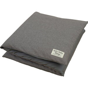 Tx@zcQNbVɂȂ邴ԂƂ[܁@O[@yiԁFL11411z