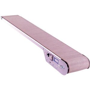 【別途送料あり】サンエイ(SANEI) エジェクトコンベア SS型 【品番:SSA-10-100-M】