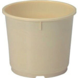 ObiTR[j@yY^@400202@2K|3i{́j@N[@yiԁF400202CL00z