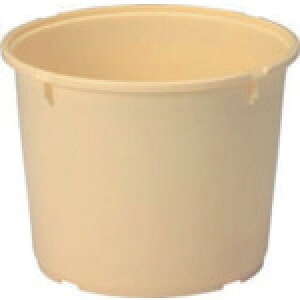 ObiTR[j@Е^@401800@20K|5i{́j@N[@yiԁF401800CL00z