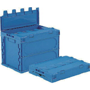 ObiTR[j@t^̌^܂肽݃Rei[@555050@TNbgIR60B@59D5L@u[@yiԁFSK555050z