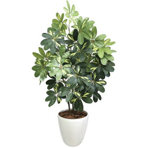 TTKiSASAGAWAj@lHϗtA@VFt@LTCY@yiԁF32-8719z