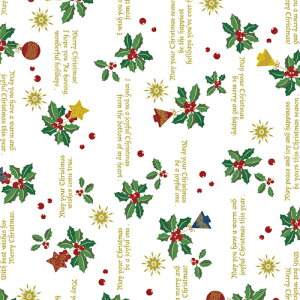 �T�T�K���iSASAGAWA�j�@���10�����[���@�z�[���[�f�R�@���˔��@4903624�@�y�i�ԁF49-3624�z