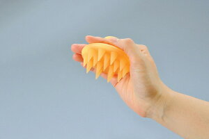 Z[uEC_Xg[@VR Vv[}bT[WuV@yiԁFSV-8786z