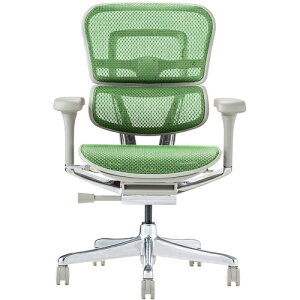 yʓrz։Ƌ@GSq[}@ItBX`FA@GSq[}v2@[^Cv@O[t[@n@O[@yiԁFEHP2-LAM-GF-GNz