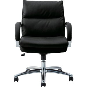 ։Ƌ@ItBX`FA@Og@[^Cv@ubNF@yiԁFGLANT LO RECYCLED LEATHER BKz