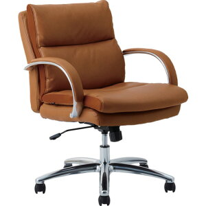 yʓrz։Ƌ@ItBX`FA@Og@[^Cv@CguEF@yiԁFGLANT LO RECYCLED LEATHER LBRz