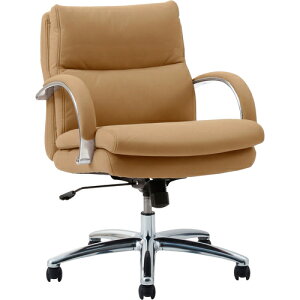 ։Ƌ@ItBX`FA@Og@[^Cv@VL[t@Co[@LF@yiԁFGLANT LO TYPE LSF CAMELz