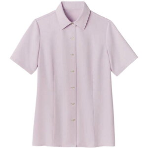 T[HiSERVOj@GROW@gbvN[EJ[uEXsN21@yiԁFGBSL-1870-D1-21z