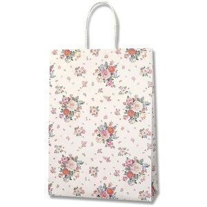 VW}@HEIKO@񂰎܁@PX[XobO@2ˁ@[Yu[P@25@yiԁF003154007z