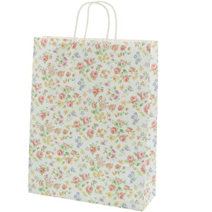 VW}@HEIKO@񂰎܁@25`[obO@2ˁ@}lXN@50@yiԁF003220300z