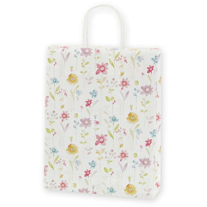 VW}@HEIKO@񂰎܁@25`[obO@MS1@t[AJg@50@yiԁF003276831z