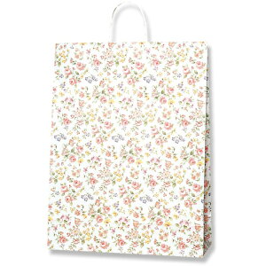 VW}@HEIKO@񂰎܁@25`[obO@JX^@}lXN@50@yiԁF003282600z