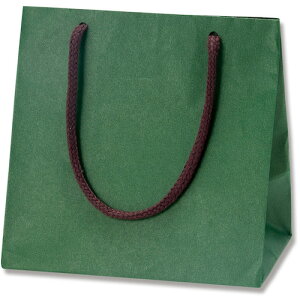 VW}@HEIKO@񂰎܁@J[`[obO@O[@MW@10@yiԁF005330001z