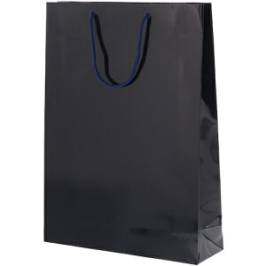 シモジマ HEIKO 手提げ紙袋 ブライトバッグ G2 紫紺 10枚入り 【品番:006138023】