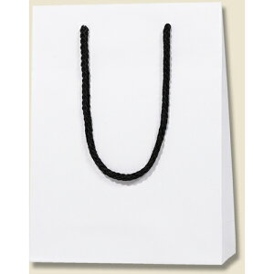 シモジマ HEIKO 手提げ紙袋 ブライトバッグ 白(MT) MM 10枚入り 【品番:006138374】