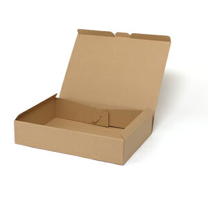 �V���W�}�@HEIKO�@�i�`�������{�b�N�X�@���n�@ECO�EZ�|8�@10������@�y�i�ԁF006204080�z