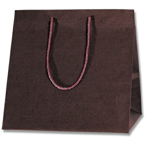 VW}@HEIKO@񂰎܁@J[AWobO@Œ@M@10@yiԁF006441021z