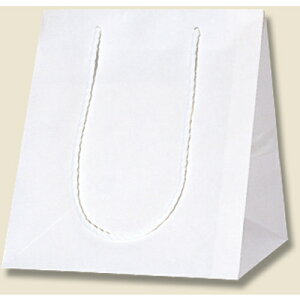 VW}@HEIKO@񂰎܁@AWobO@n@SS@10@yiԁF006441103z