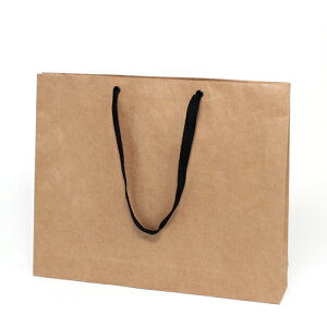 �V���W�}�@HEIKO�@��񂰎��܁@�t�@�b�V�����o�b�O�@���N���n�@L�@10������@�y�i�ԁF006470610�z