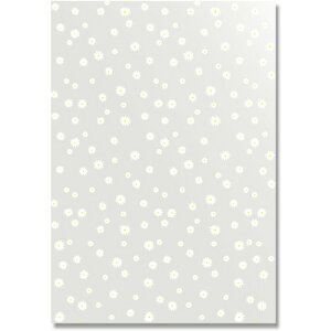 VW}@HEIKO@OPP܁@NX^pbN@u[@LL|1@50@yiԁF006968209z