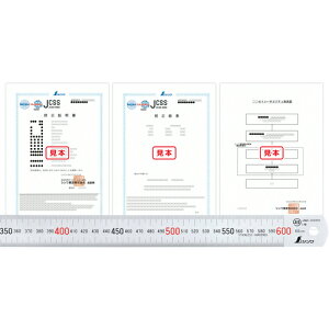 V@V@ځ@Vo[600mm@JCSSZؖt@yiԁF19016z