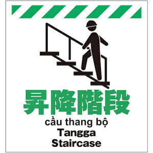 aiSHOWAj@V[g@~Ki@yiԁFTP-014z