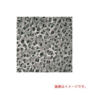 ēcȊwiSIBATAj@utB^[@C300A047A@100@yiԁF064320-047300z