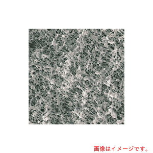 ēcȊwiSIBATAj@utB^[@H100A047A@100@yiԁF064410-047100z