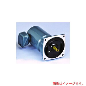 �V�O�}�[�Z���@���s���P��200W�t�����W��t�`�����@�@�y�i�ԁFSMFB2-02-60�z