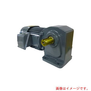 �V�O�}�[�Z���@������IE3�A���s���󎲎O��750W�r��t�`�u���[�L�t���M�A���[�^�[�@������1�^15�@�y�i�ԁFTMHLB-08E-15�z