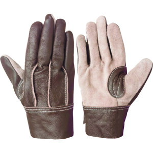 V@{v܁@CG|500@J[A\[g@yiԁFCG-500z