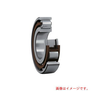 ���{�G�X�P�C�G�t�iSKF�j�@�P��~�����뎲��@N�^�@���a50mmX�O�a110mmX��27mm�@�y�i�ԁFN 310 ECP�z