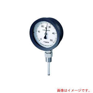 vʊ퐻쏊iSK SATOj@oC^xv@BM|S|100P@0`150@100L@i2085@yiԁFBM-S-100P-8z