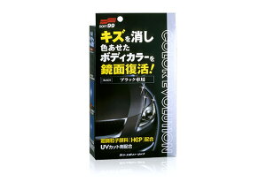 �\�t�g99 �J���[�G�{�����[�V���� �u���b�N 100ml 00503