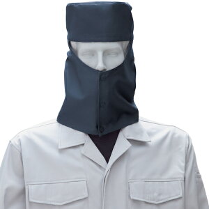 y[֑ΉzKaiSOWAj@10013@nږXq@coȂ@Ȃ@lCr[@LL@yiԁF10013-1-LLz