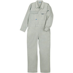 KaiSOWAj@9200@Ȃ@Vo[O[@6L@yiԁF9200-22-6Lz