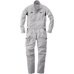 KaiSOWAj@39020@Ȃ@Vo[O[@LL@yiԁF39020-22-LLz