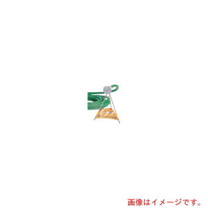 d쏊iVQ}cj@C}XN@낶iOrtji06200j@yiԁF06200z