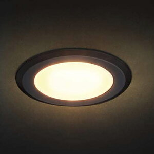 �X�K�c�l�H�Ɓ@LAMP�@LED�X�������C�g SL-RU2-100�^ �ی`�����^�C�v PAT�@�u���b�N�@�y�i�ԁFSL-RU2-100-WLR-BL�z