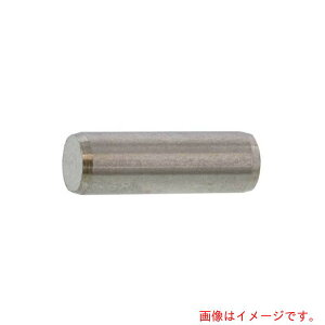 サンコーインダストリー(SUNCO)  SUS 平行ピン(B種  4 X 10 (1000本入) 【品番:D0-02-010B-0040-0100-00】