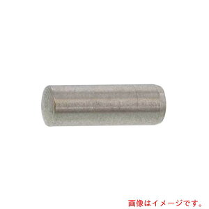 サンコーインダストリー(SUNCO)  SUS316 平行ピン(A種 3 X 10 (1000本入) 【品番:D0-11-010A-0030-0100-00】