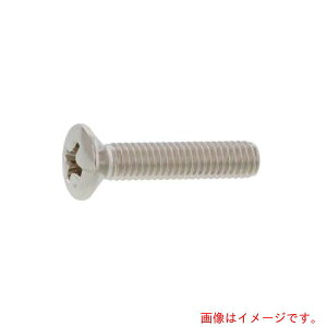 サンコーインダストリー(SUNCO) BKステン(+)丸サラ小ネジ 4×10 (80本入) 【品番:00-02-0002-0040X0100-08-80】