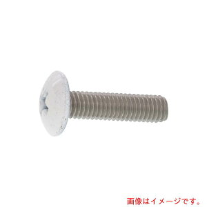 サンコーインダストリー(SUNCO) 頭部ホワイトステン(+)トラス小ネジ 5×20 (400本入) 【品番:00-02-0003-0050X0200-A0】
