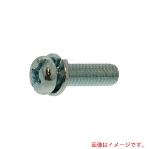 サンコーインダストリー(SUNCO) 組込みねじ (+−)ナベP=2(SUS(ステンレス)・生地(または標準)) M4×15(1000本入) 【品番:10-02-0202-0040-0150-00】