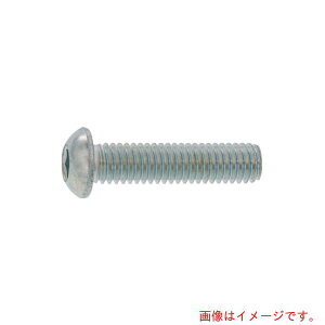 サンコーインダストリー(SUNCO) ボタンCAP(日産ネジ JIS B 1174 3×15 (1000本入) 【品番:A0-00-100N-0030-0150-00】
