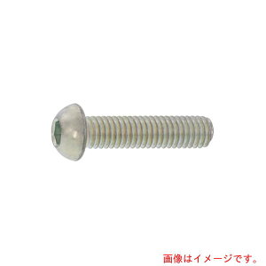 �T���R�[�C���_�X�g���[�iSUNCO�j�@�N���[���@�{�^��CAP�i�A���X�R�@�ۏ�SSS�K�i�@3×4�@�i1000�{���j�@�y�i�ԁFA0-00-10SA-00300040-06�z