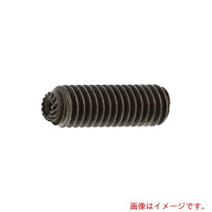 �y���[���֑Ή��z�T���R�[�C���_�X�g���[�iSUNCO�j�@HS�iTKS�@�M�U�X�N�����[�@12×10�@�i1�{���j�@�y�i�ԁFA0-00-505T-01200100-00�z