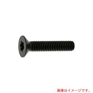サンコーインダストリー(SUNCO) ユニクロ TOR×−サラCAP(J IS 4×10 (30本入) 【品番:A0-00-T2J0-0040-0100-01-30】