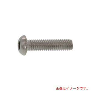 �T���R�[�C���_�X�g���[�iSUNCO�j�@SUS�{�^��CAP�@HSK�@�����H�@6×40�@�i300�{���j�@�y�i�ԁFA0-02-100H-00600400-00�z